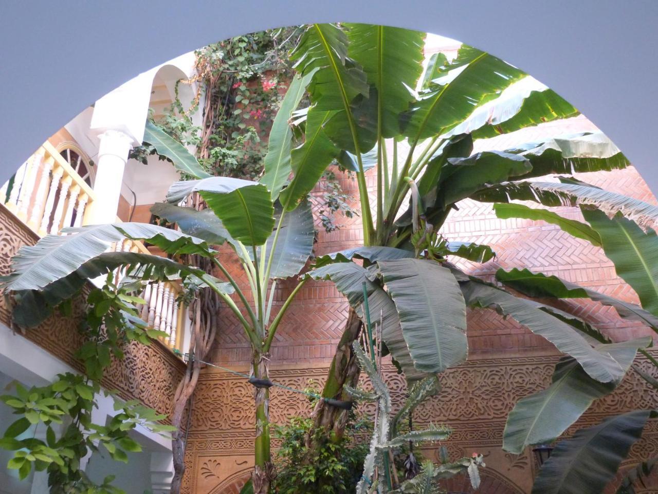Riad Habib Marrakesh Exteriör bild
